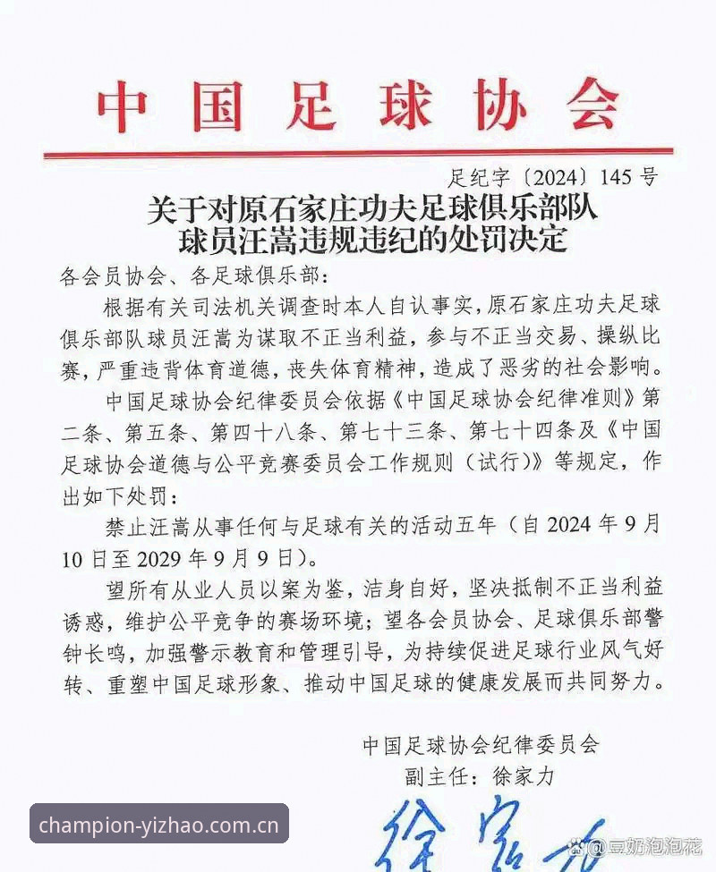 中国足球反腐风暴深度解析：从第三批禁足名单看行业生态重塑
