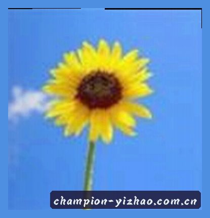 林芳